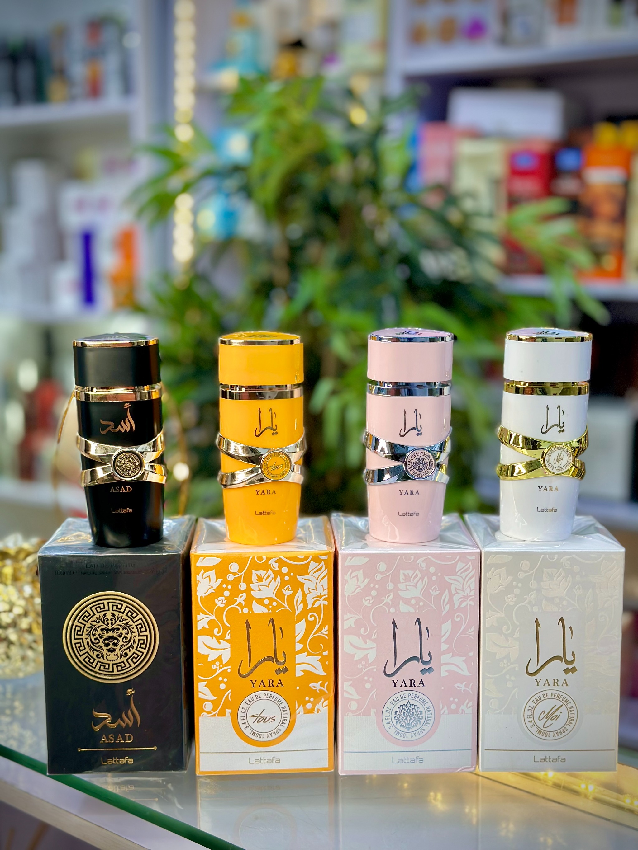 Tifes Hub Perfumes 549_nSoCRut26u2NBssOD8S2j6416qQonh13REQAhWXpHa5tR5tYC97gAkh2Awtrwgf-ZLO7aK5I0lzcmqz6=s0